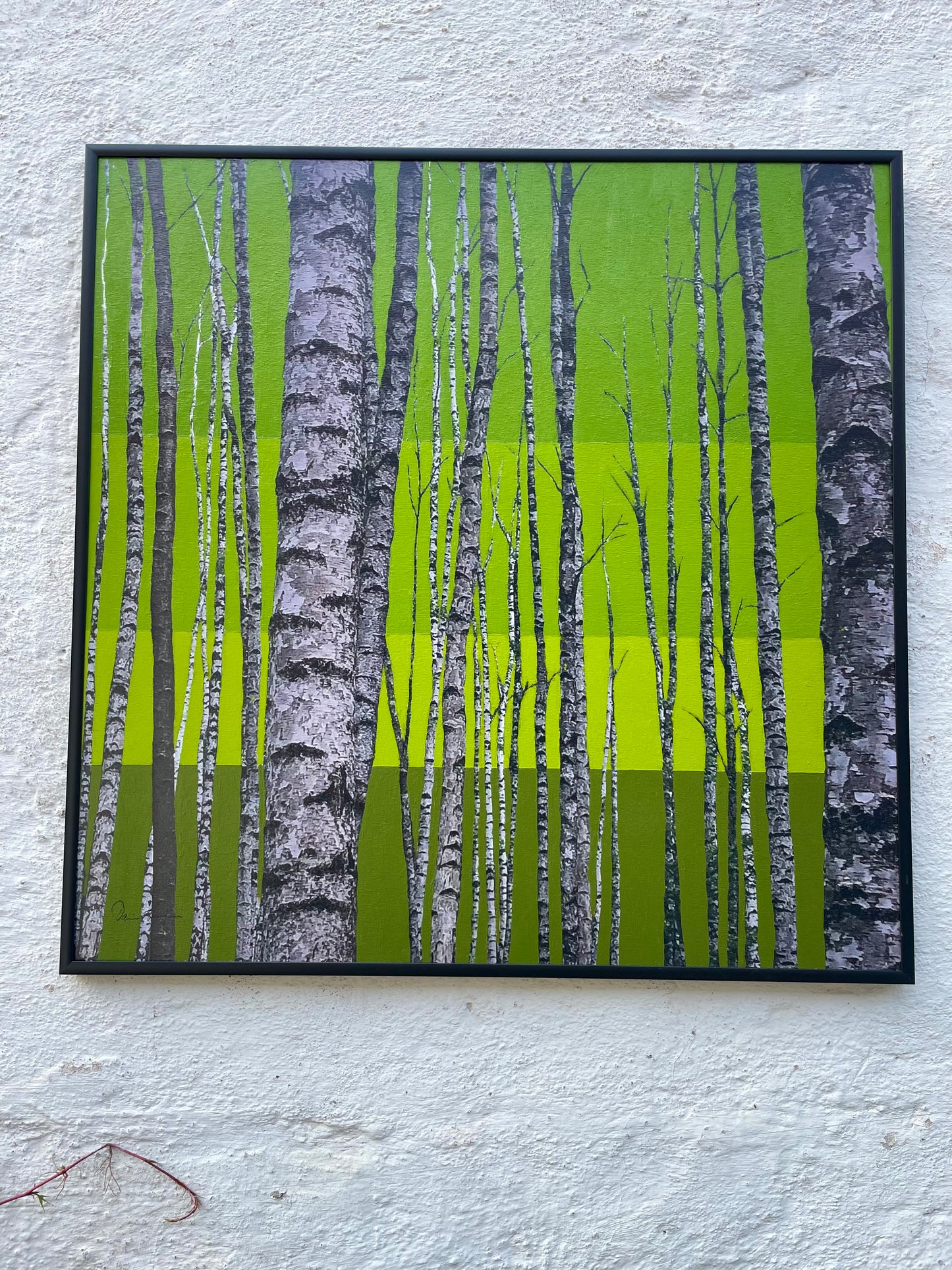 Der poppigste Baum im Wald