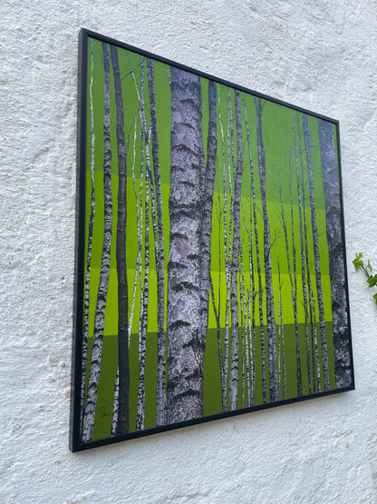 Der poppigste Baum im Wald