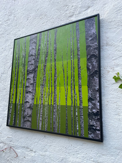 Der poppigste Baum im Wald