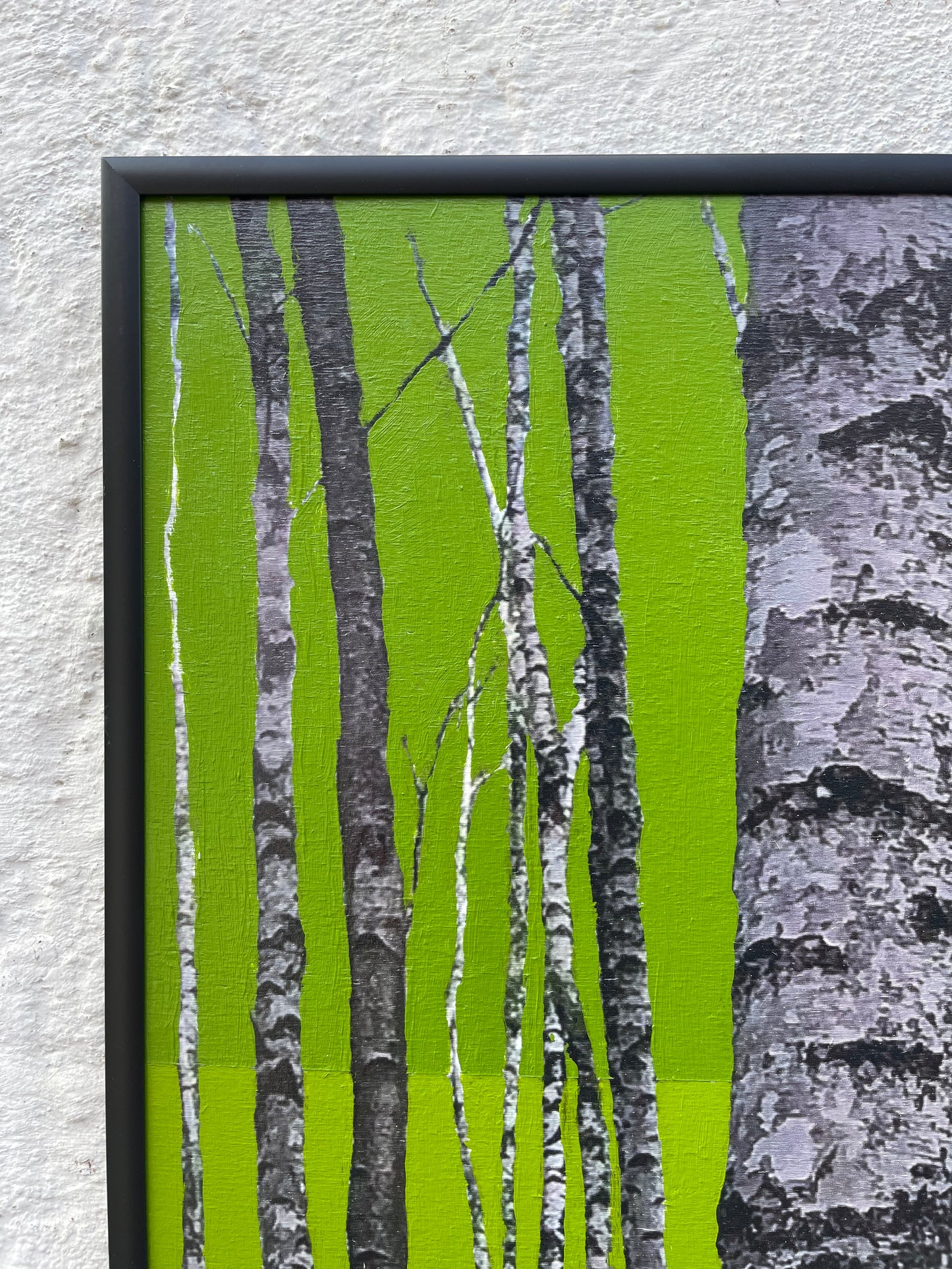 Der poppigste Baum im Wald