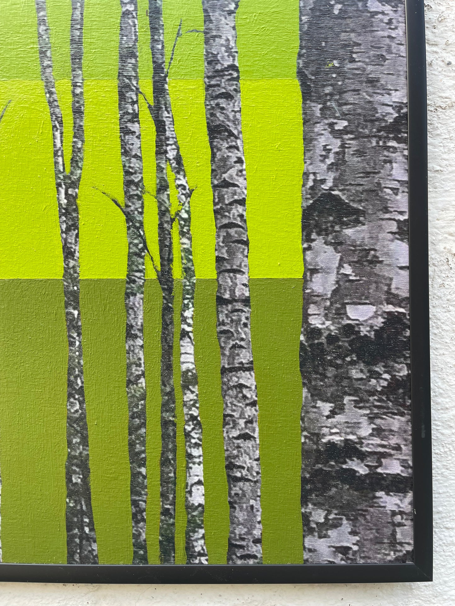 Der poppigste Baum im Wald