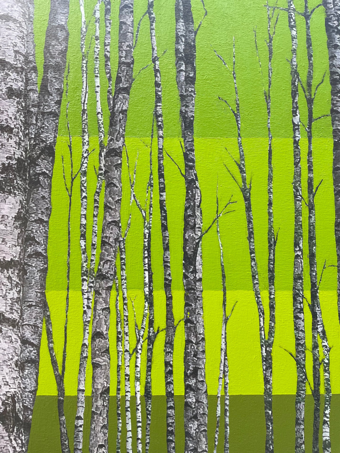 Der poppigste Baum im Wald